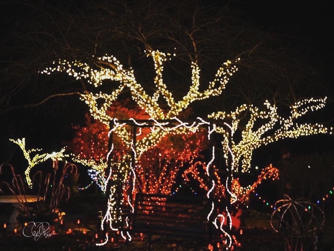 Christmas Lights at Lanthier Winery Gardens