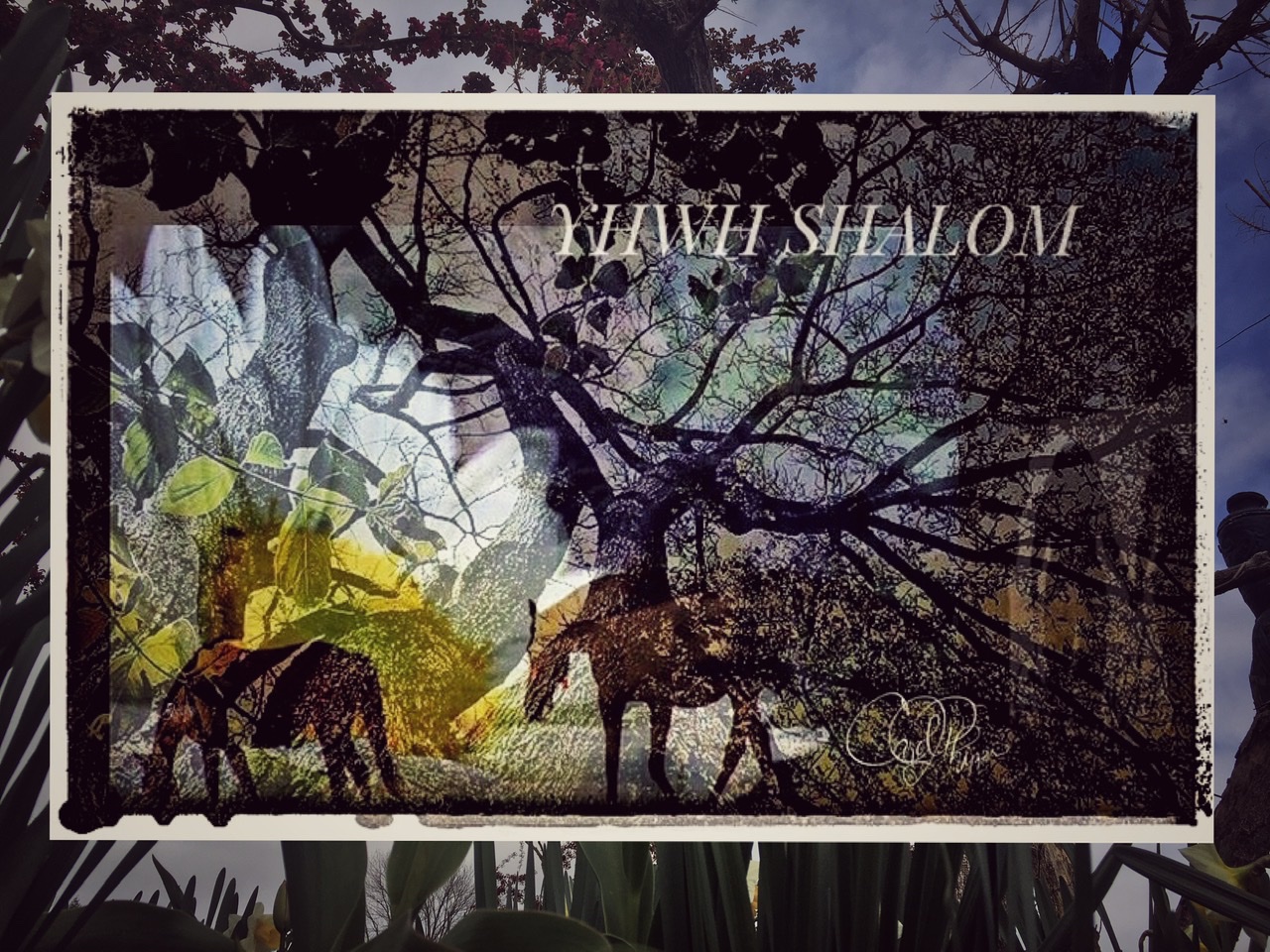 YHWH SHALOM