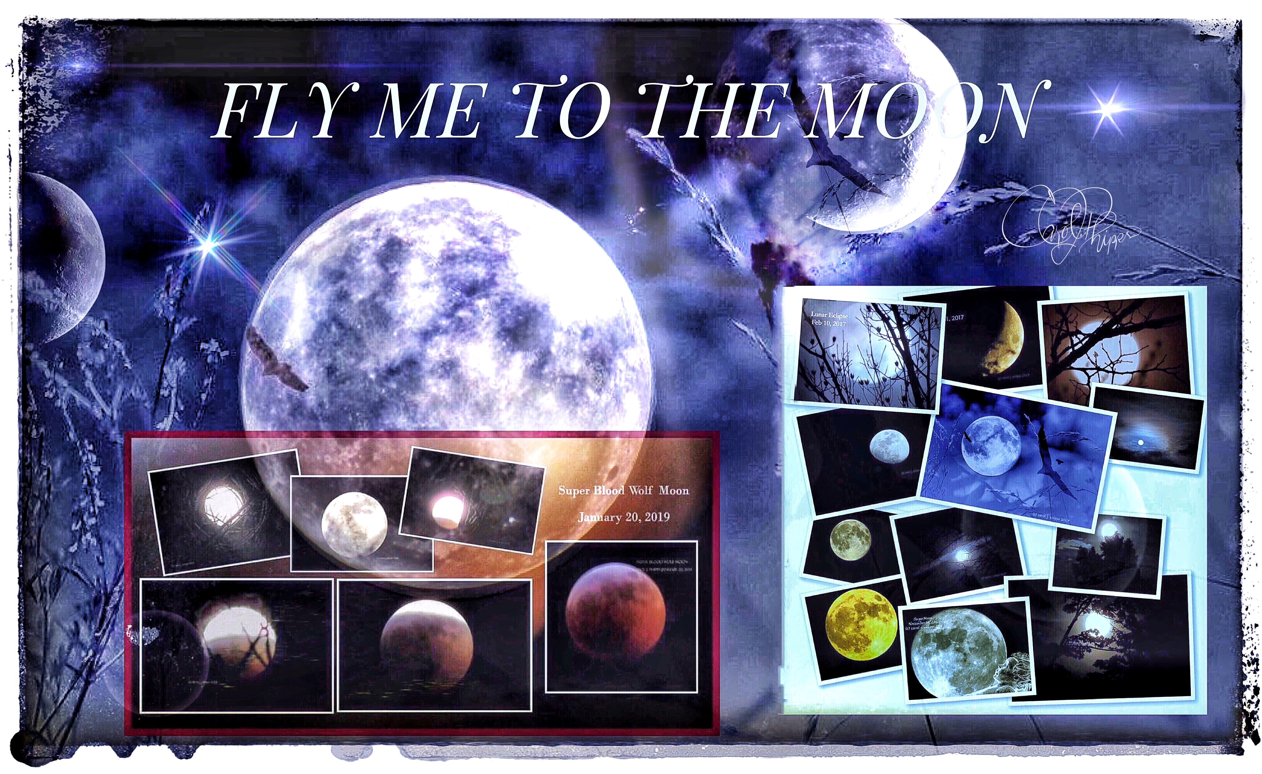 Fly Me to the Moon
