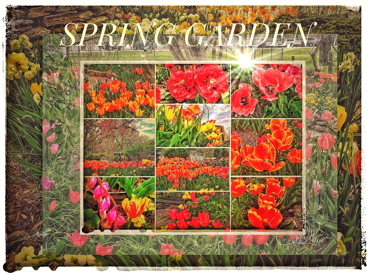 Spring Garden
