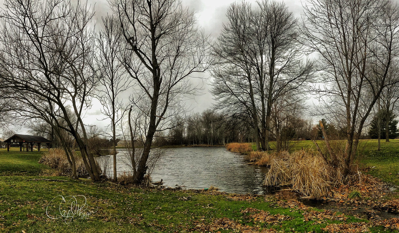 Stormy Weather