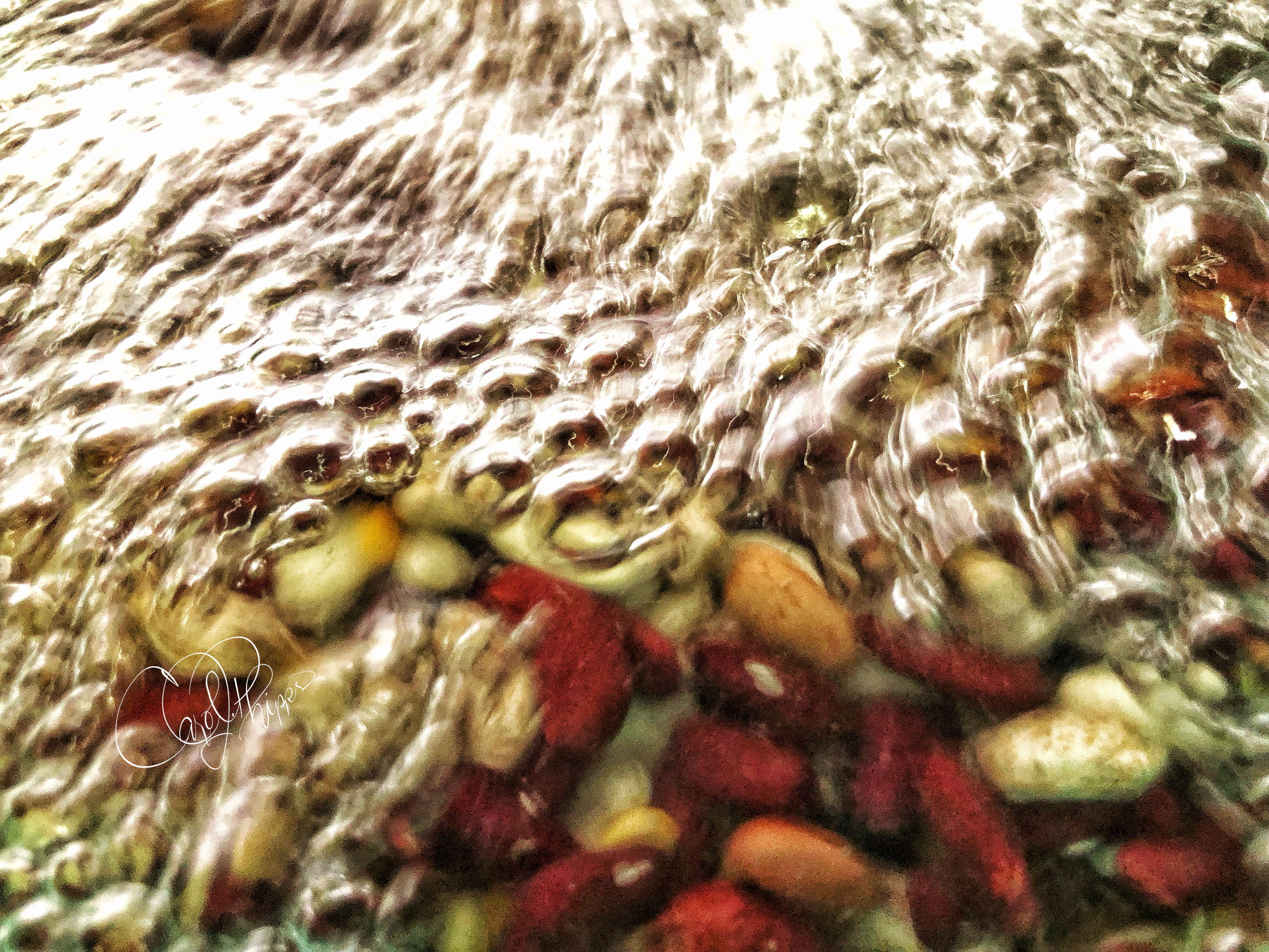 Dried Bean Rince