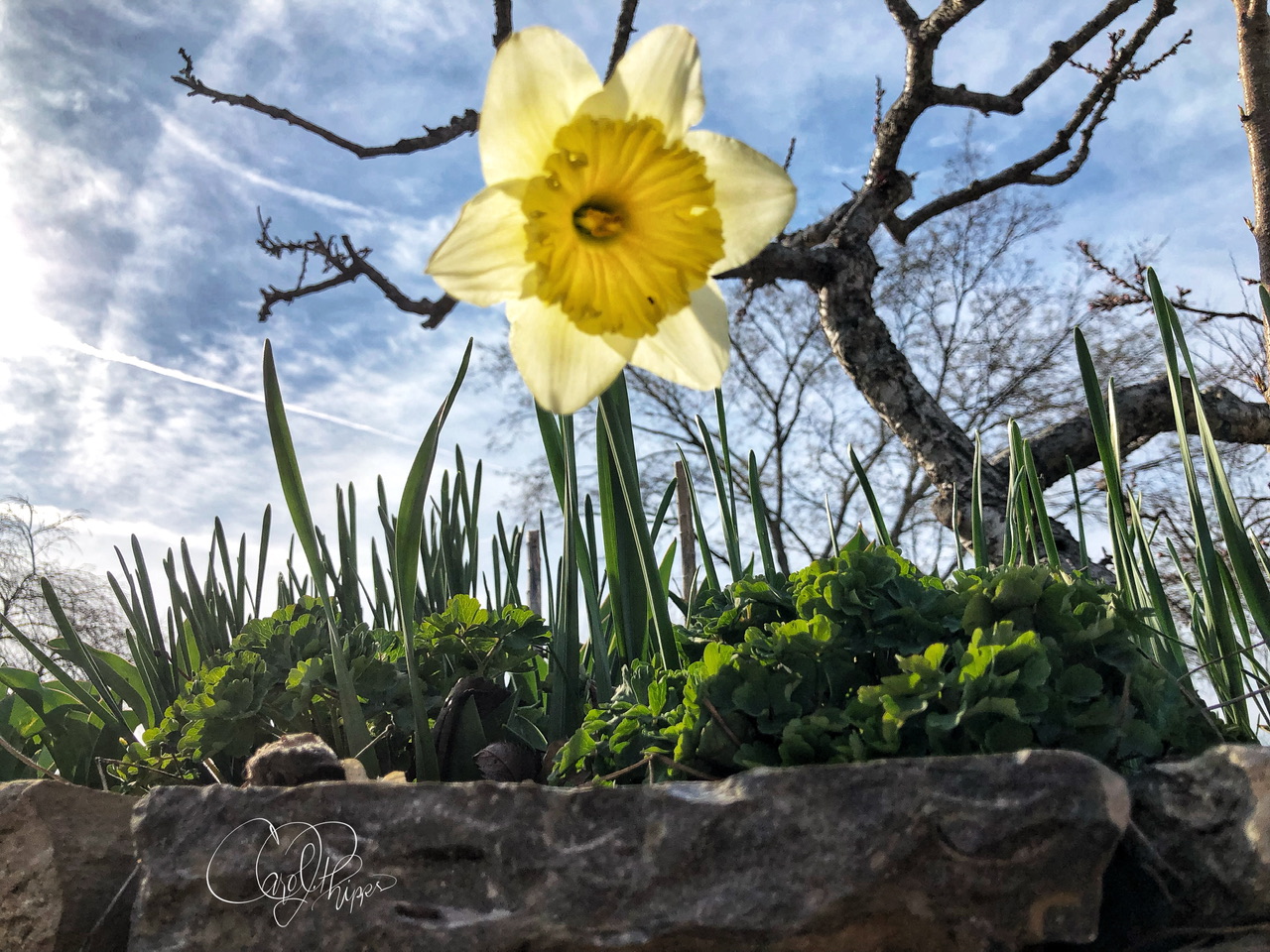 Springtime is looking possible!