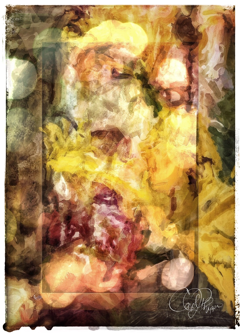 The Lilies are Gone