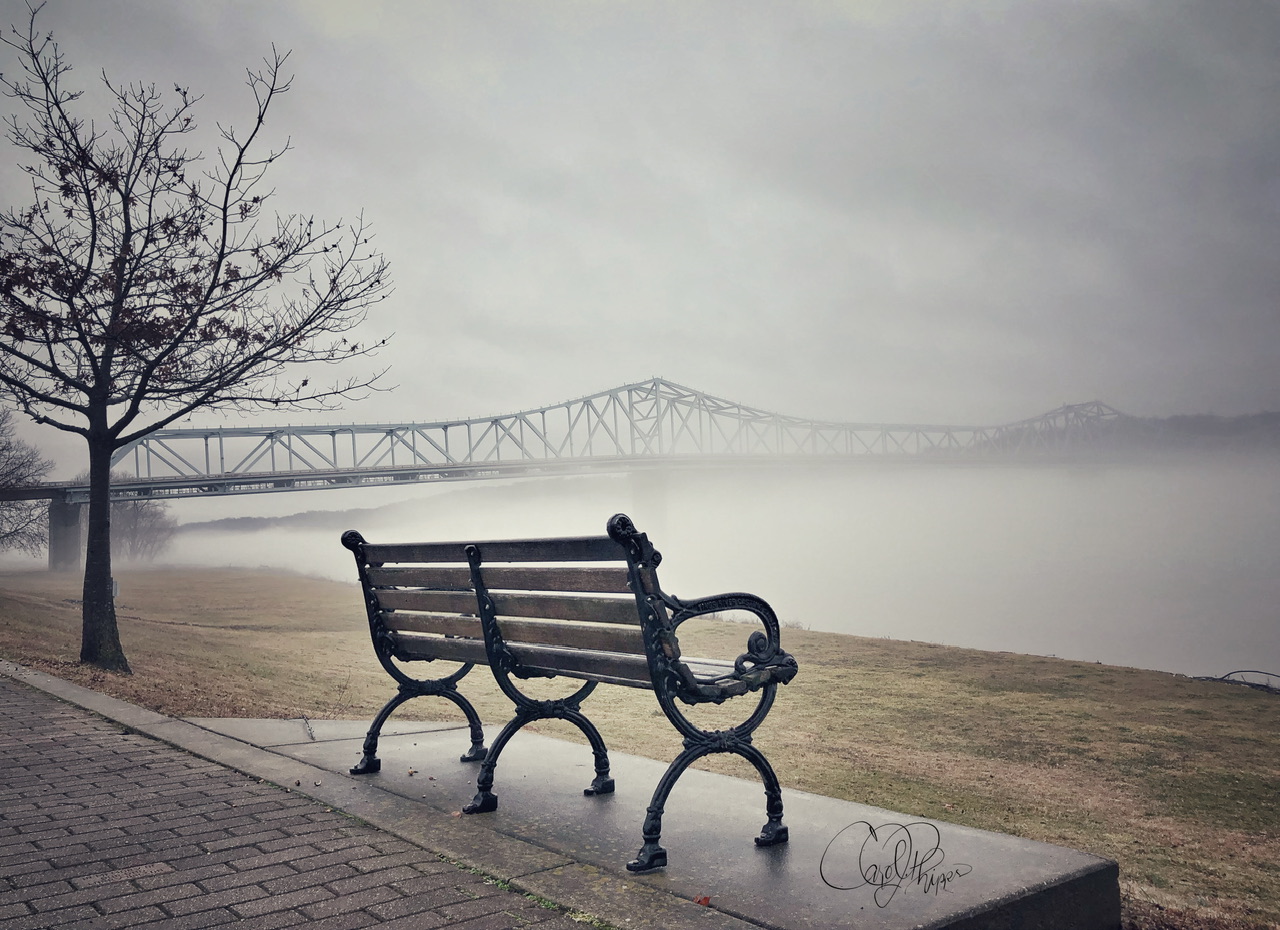 Fog on the River