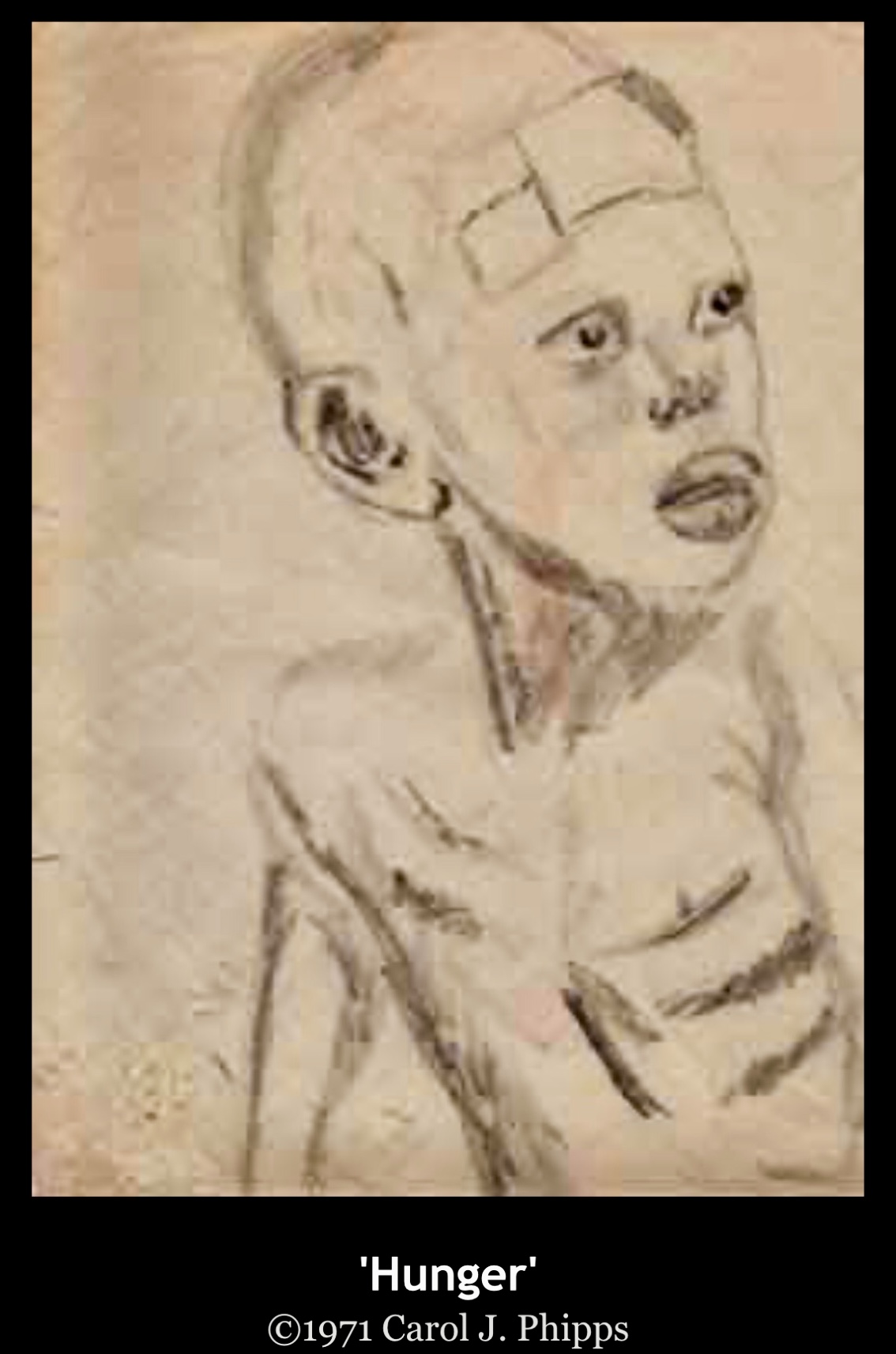 Pencil Sketch