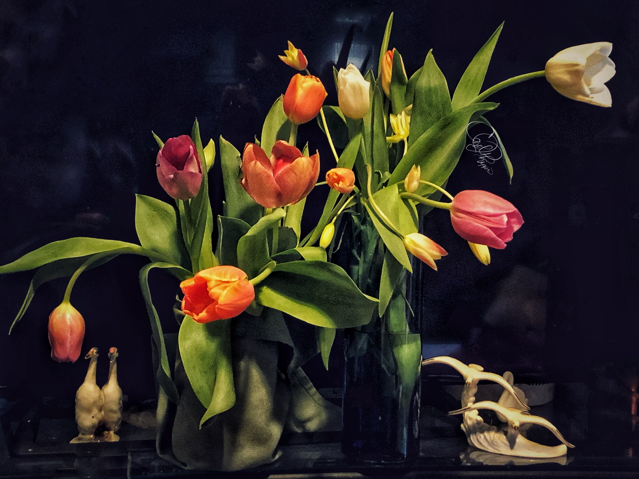 Luv Tulips