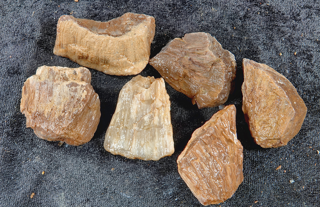 2019 Bullfrog Turnout Utah Petrified Wood (7) RX400520 (Stacked) (Raw).jpg