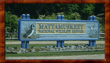 2021 Mattamuskeet Wildlife Refuge NC