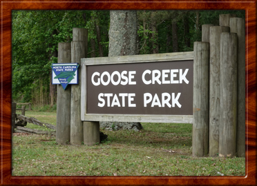 2021 Goosecreek State Park NC