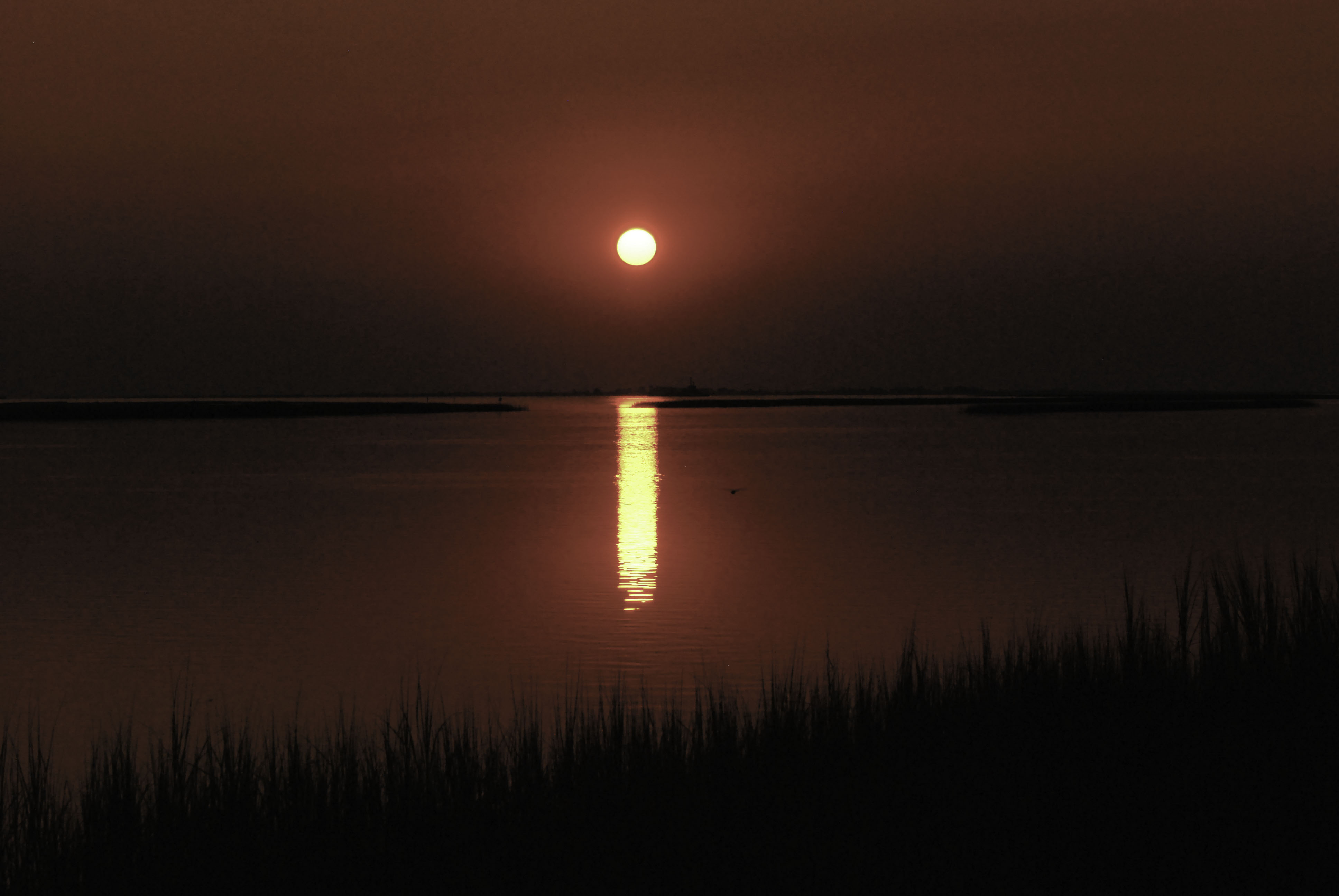 West Bay, Galveston Texas