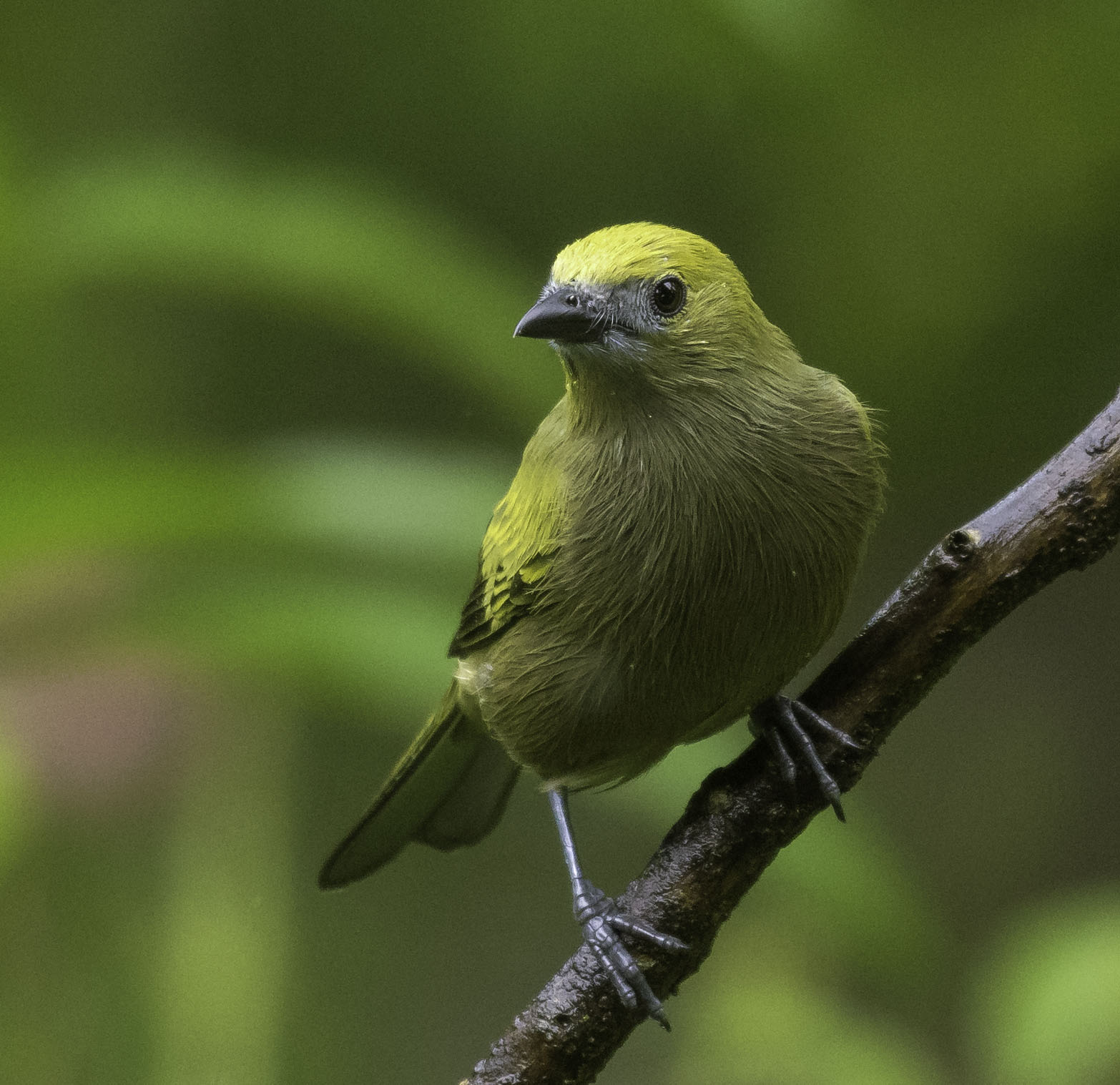 DSC_7080-3.jpg