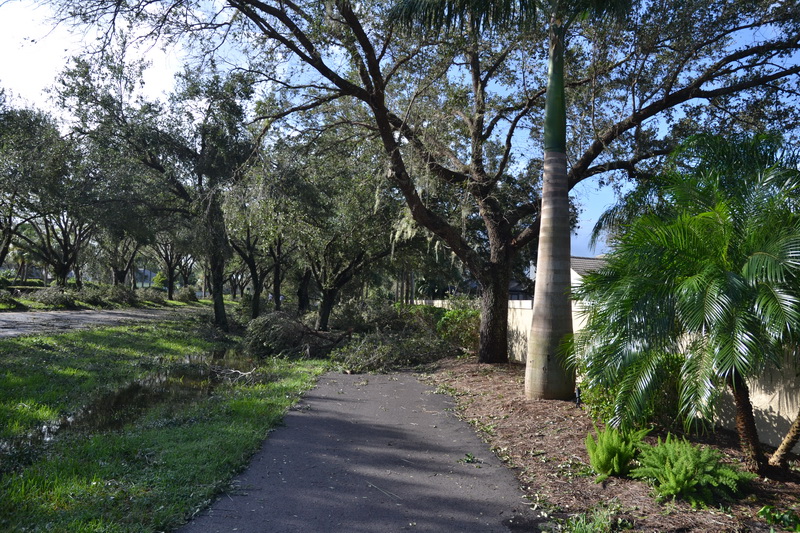 Hurricane Irma - 007.JPG