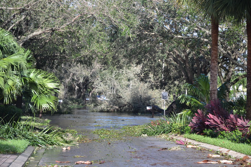Hurricane Irma - 016.JPG