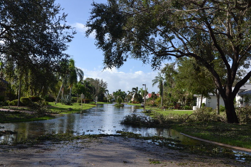Hurricane Irma - 020.JPG