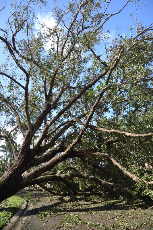 Hurricane Irma - 028.JPG