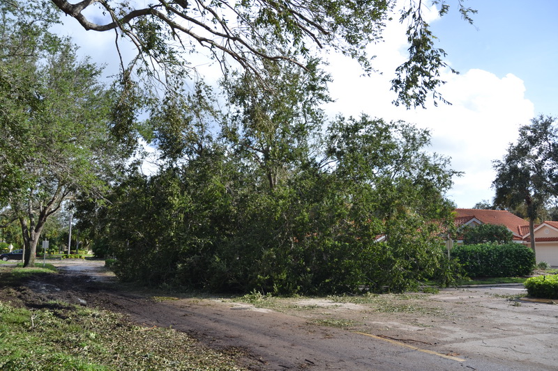Hurricane Irma - 030.JPG