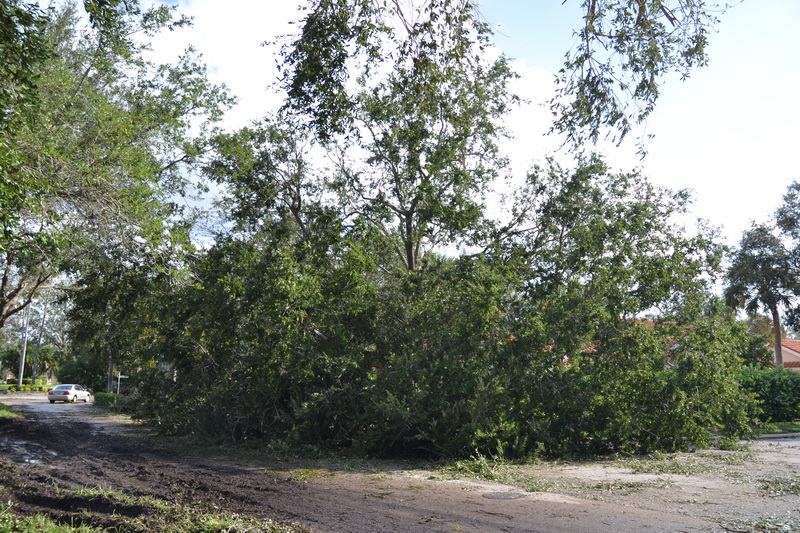 Hurricane Irma - 031.JPG