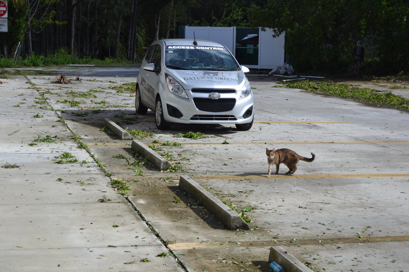 Hurricane Irma - 032.JPG