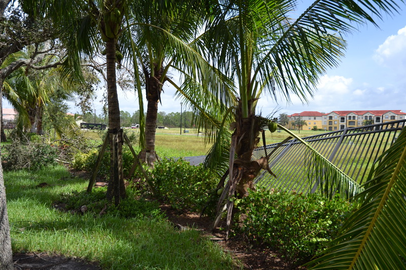 Hurricane Irma - 046.JPG