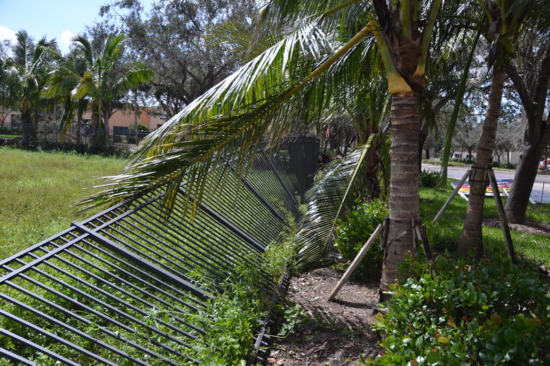 Hurricane Irma - 048.JPG