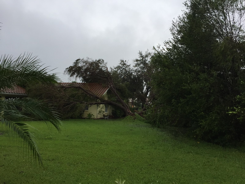 Hurricane Irma - 061.JPG