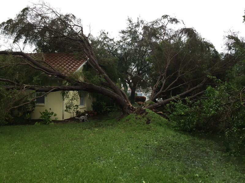 Hurricane Irma - 064.JPG