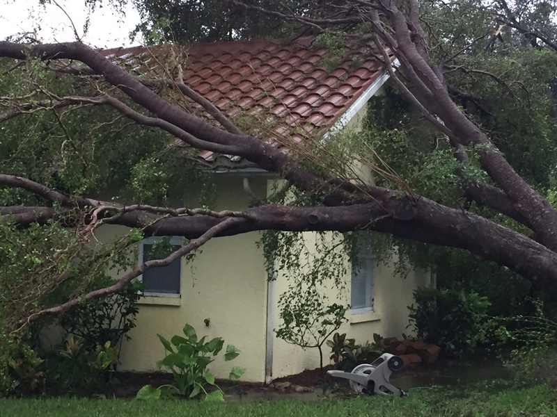Hurricane Irma - 065.JPG