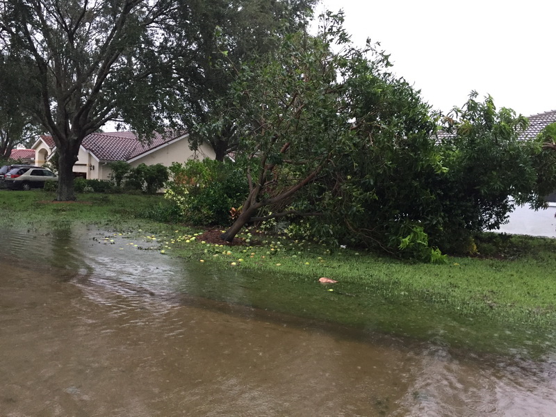 Hurricane Irma - 083.JPG