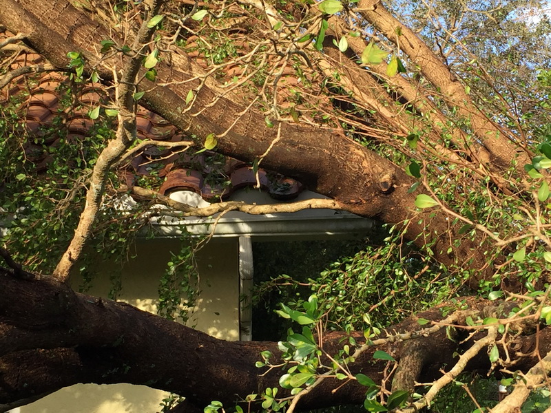 Hurricane Irma - 087.JPG