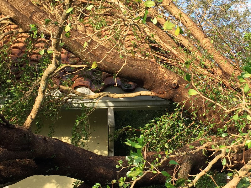 Hurricane Irma - 088.JPG