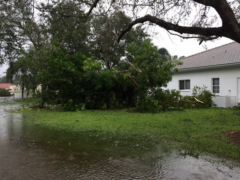 Hurricane Irma - 109.JPG
