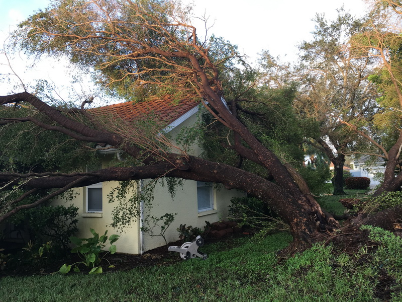 Hurricane Irma - 121.JPG