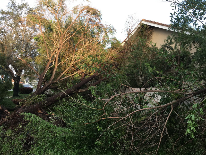 Hurricane Irma - 123.JPG