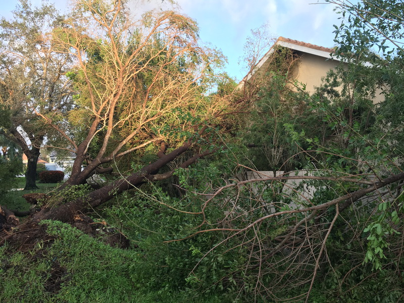 Hurricane Irma - 124.JPG