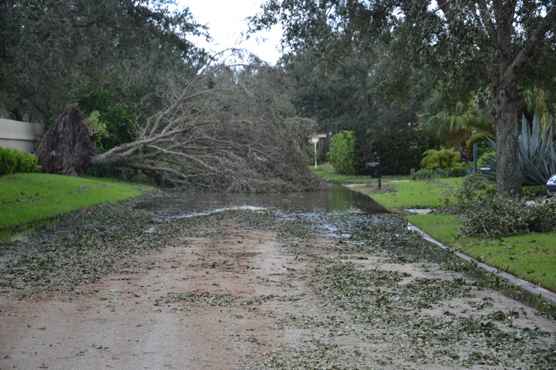 Hurricane Irma - 129.JPG