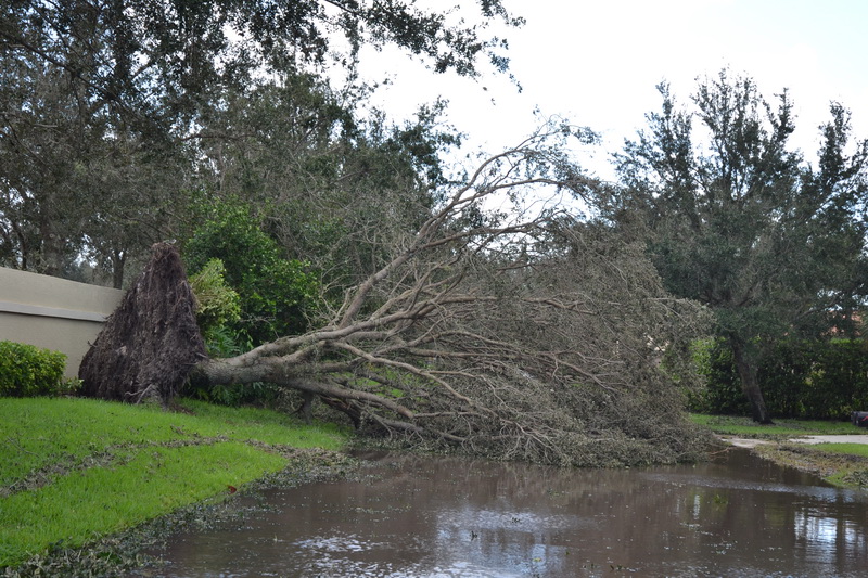 Hurricane Irma - 130.JPG