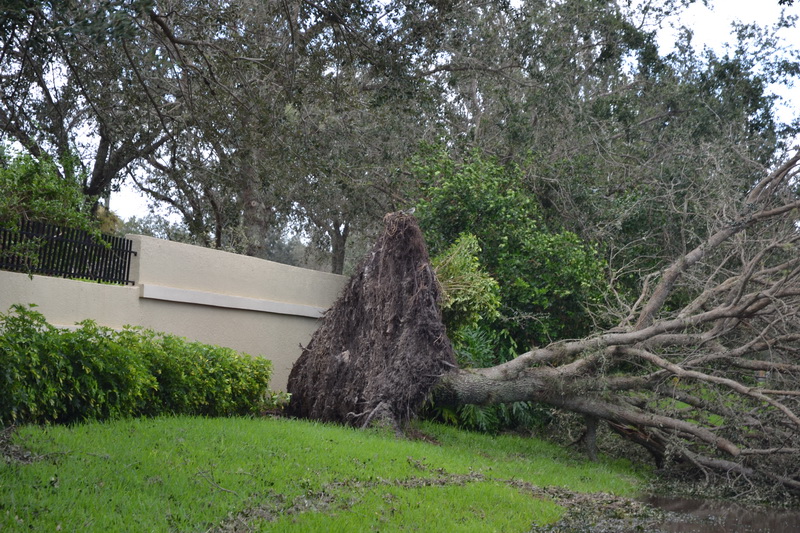 Hurricane Irma - 131.JPG
