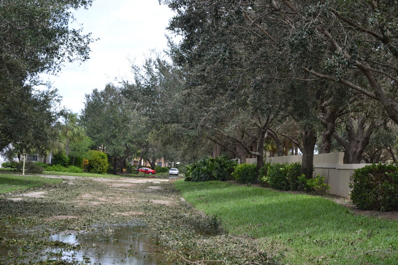 Hurricane Irma - 132.JPG