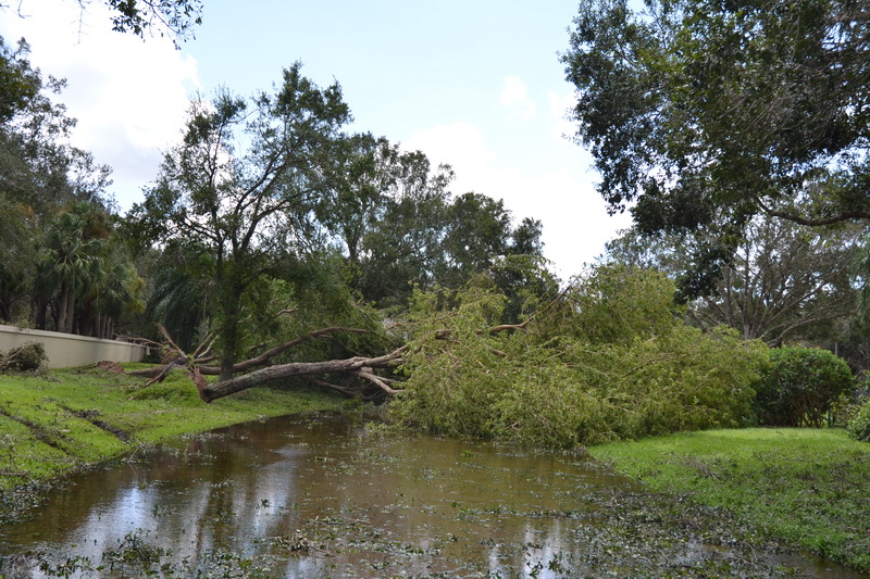Hurricane Irma - 133.JPG