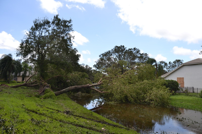 Hurricane Irma - 135.JPG