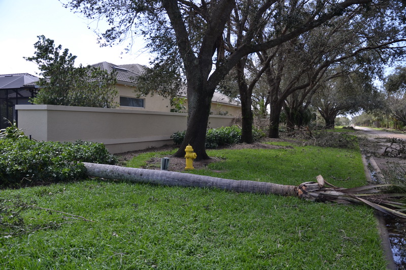 Hurricane Irma - 152.JPG