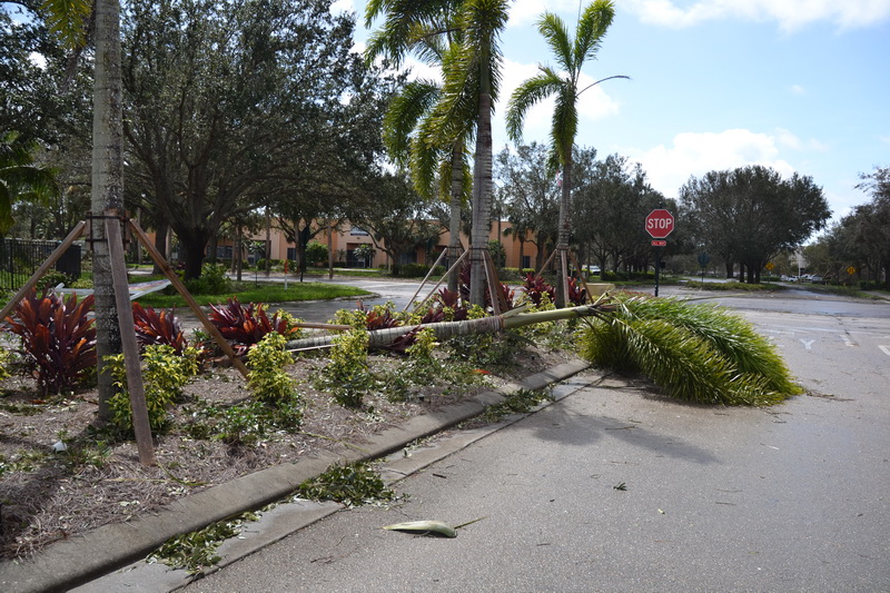 Hurricane Irma - 166.JPG
