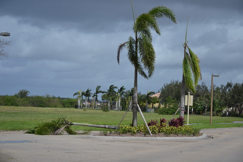 Hurricane Irma - 169.JPG