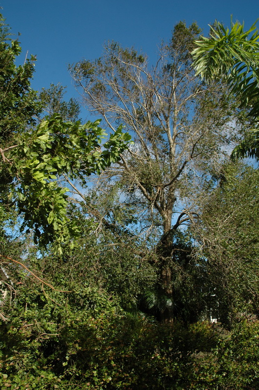 GGCA Ian - 088.JPG