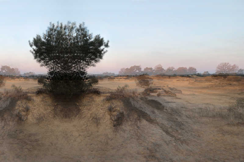Dreamscape I