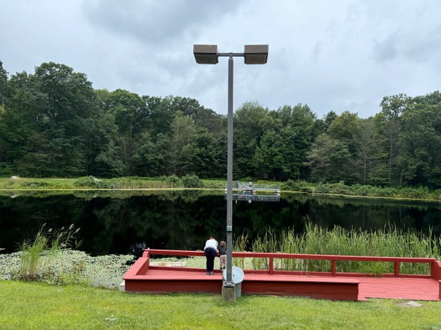 image11.jpeg