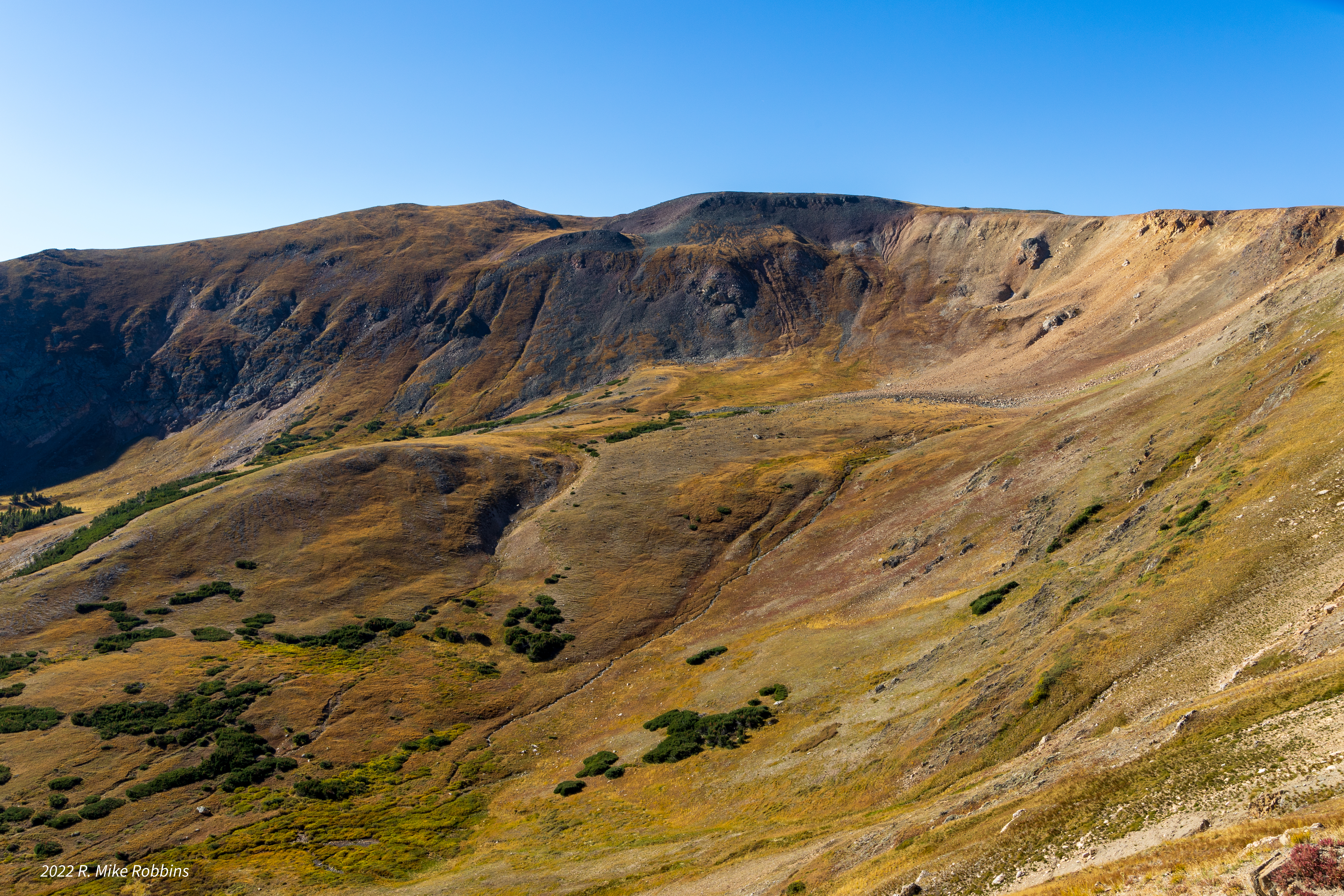 _R6_3576.jpg