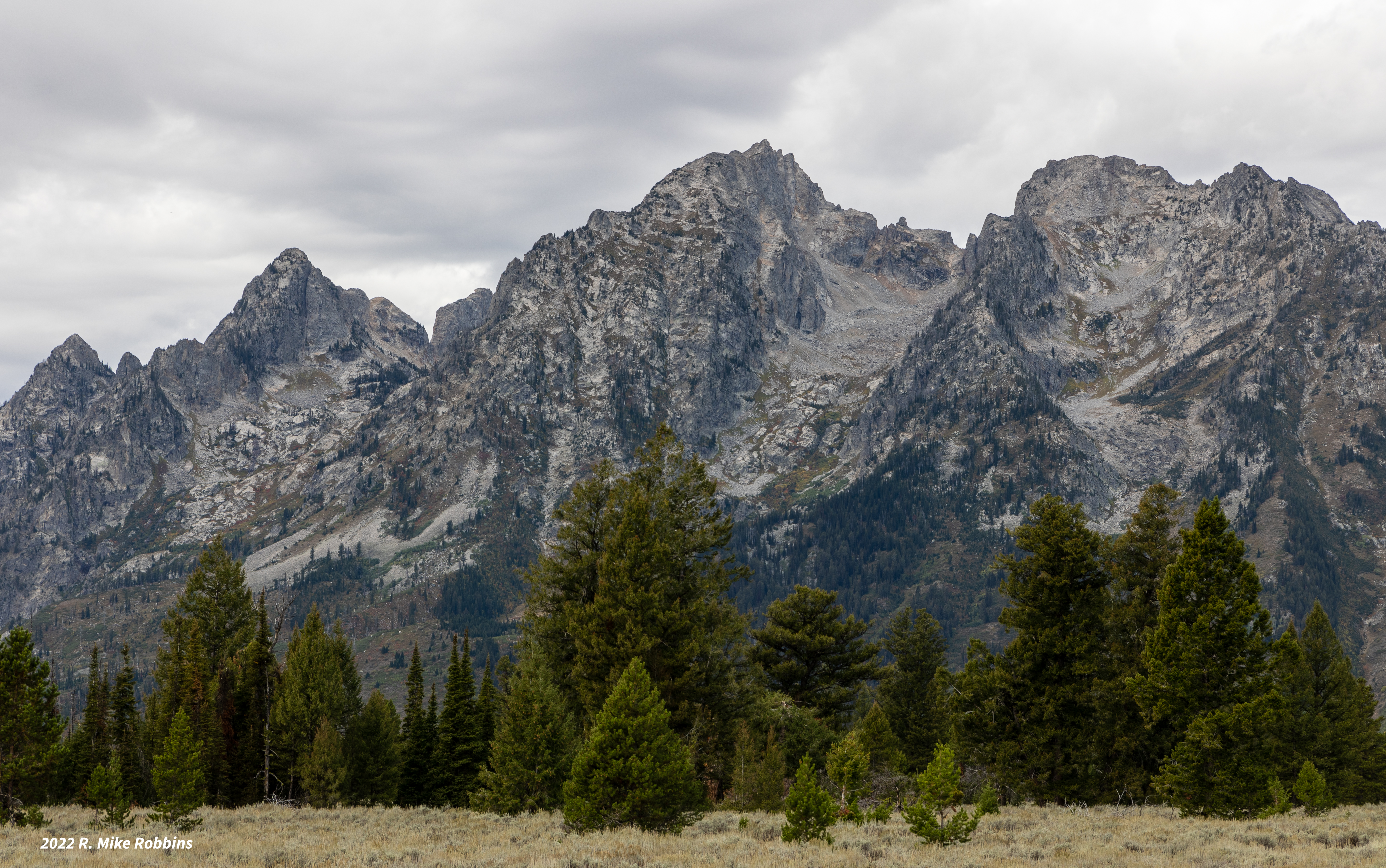 _R6_3642.jpg