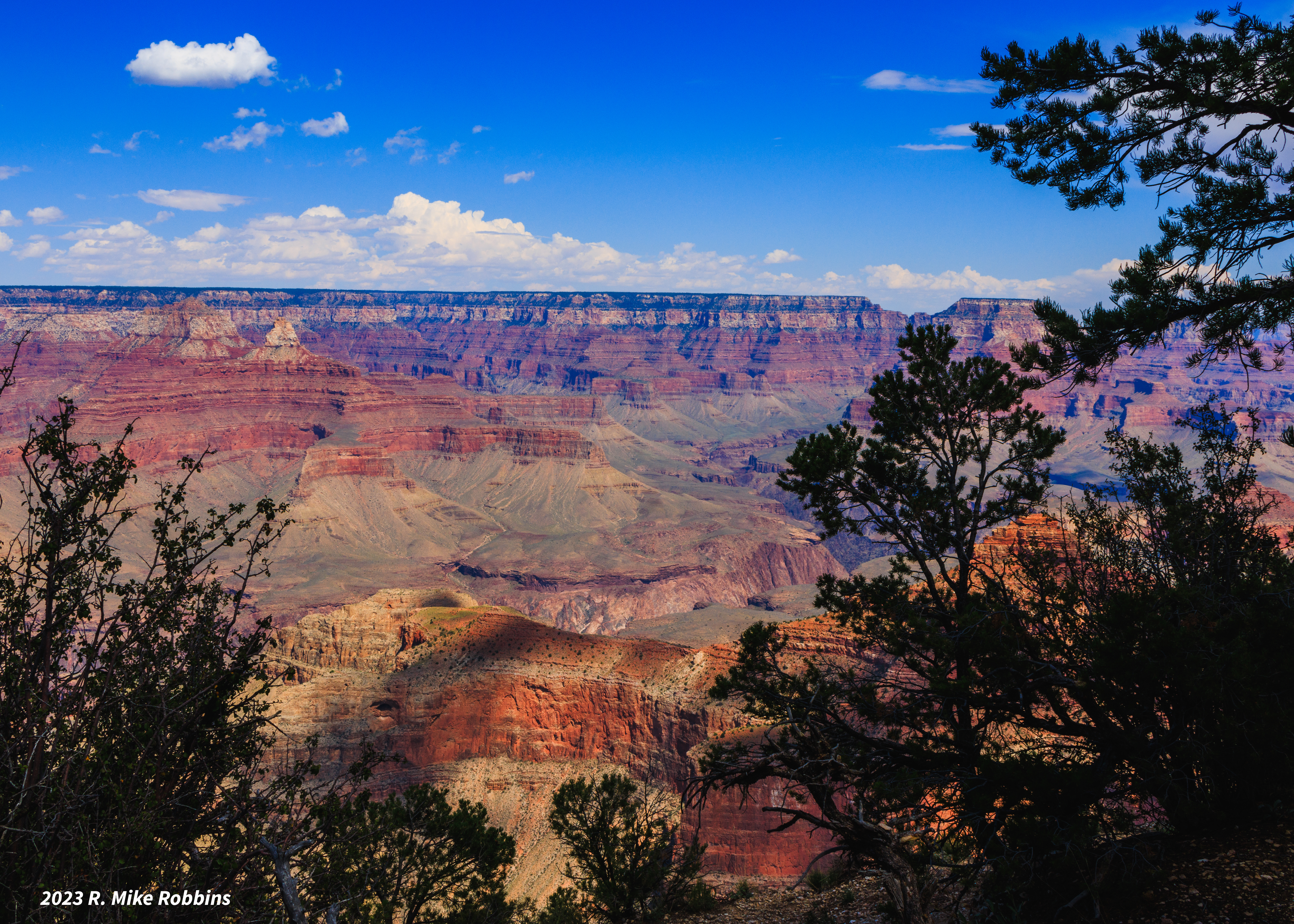 _R7_4190.jpg